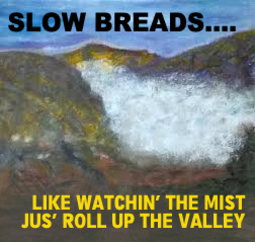 thumbnail of mist-roll-up-valley.png