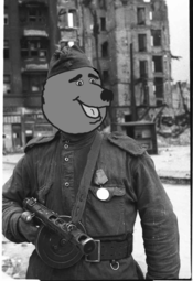 thumbnail of russian-liberator-in-1945.png