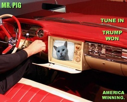 thumbnail of TUNED IN.jpg