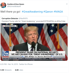 thumbnail of Trump Great Awakening.png