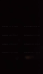 thumbnail of 4454356.mp4