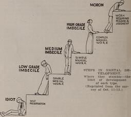 thumbnail of Mental_defectives_in_Virginia-_(1915)_(14587462548).jpg