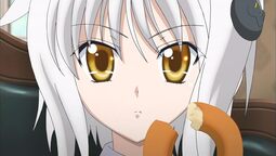 thumbnail of koneko15.jpg