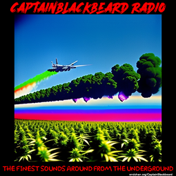 thumbnail of captainblackbeartart (36).cleaned.png