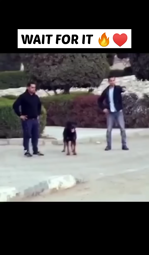 thumbnail of Dog Tries To Attack Father and Son While they were praying. #shorts#islamic#muslims#ytshorts#status.mp4