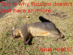 thumbnail of possum-banner.png