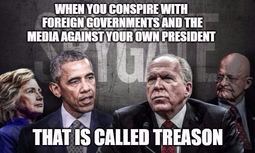 thumbnail of dems-collude-treason.png