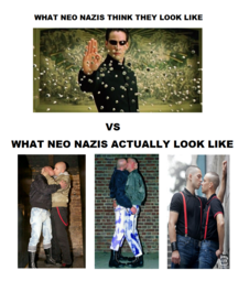 thumbnail of neo-nazi-perception-vs-reality.png