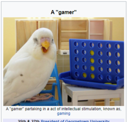 thumbnail of gamer-bird.png