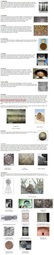 thumbnail of star throughout history.jpg