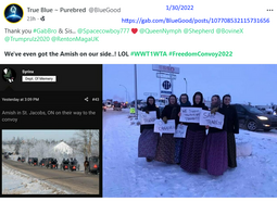 thumbnail of Amish on our side 01302022.png