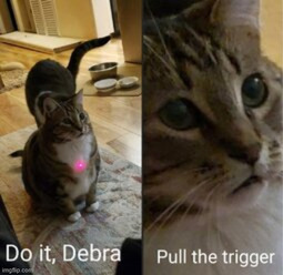 thumbnail of debra.jpg