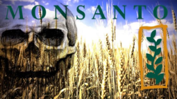 thumbnail of Monsanto Pays Out $10 Million For Spraying Toxic Chemicals On Hawaiian Crops(1).png