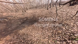 thumbnail of 291752.mp4