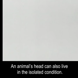 thumbnail of In_1940s_Russian_scientists_kept_a_dog_s_head_alive_for_a_few_hours._Graphic [KhzEMJHQt2I].webm