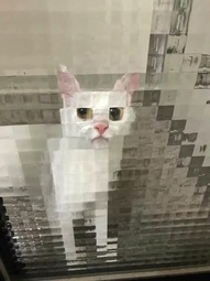 thumbnail of pixel cat.jpg