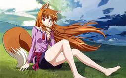 thumbnail of holo-in-spice-and-wolf.jpg