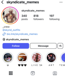 thumbnail of Skyndicate_memes insta screencap.png