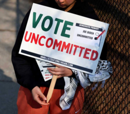 thumbnail of GSNS_vote uncommitted.PNG