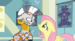 thumbnail of 1662189__safe_fluttershy_zecora_pegasus_pony_zebra_a+health+of+information_carousel+28tv+channel29_cute_floppy+ears_frown_looking+at+each+other_sadorable_screen.png