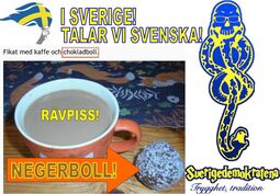 thumbnail of svenska_6697bcfde087c3660ed05814.jpg