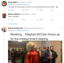 thumbnail of Screenshot_2019-11-16 Meghan McCain on Twitter Rot in hell, Roger Stone Twitter(1).png