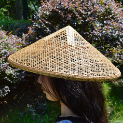 thumbnail of asian cone hat.png