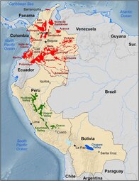 thumbnail of Map-outlining-each-of-the-known-South-American-coca-growing-regions-investigated.png