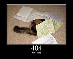 thumbnail of 404.jpg