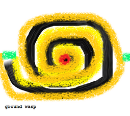 thumbnail of ground wasp.png