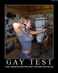 thumbnail of Bow_Gay_Test.jpg