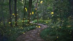 thumbnail of fireflies.jpeg