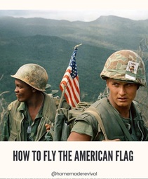 thumbnail of American Flag flying.jpg