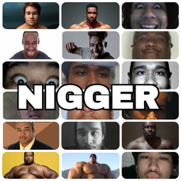 thumbnail of NIGGER.mp4