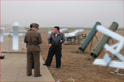 thumbnail of nk-suicide-drones2.png