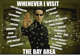 thumbnail of whenever_i_visit_the_bay_area.png