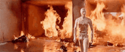 thumbnail of T-1000.gif