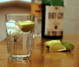 thumbnail of gin & tonic.jpg
