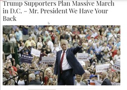 thumbnail of trump support march.jpg