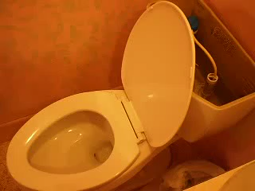 thumbnail of How To Keep Flushing Toilets After No Running Water, SHTF.mp4