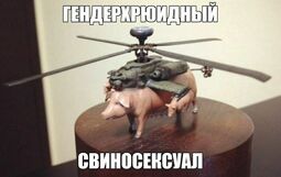 thumbnail of helicopter pig.jpg