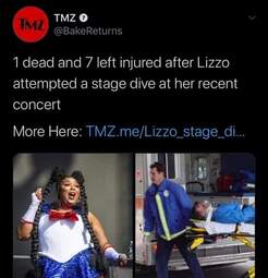thumbnail of Lizzo stage dive.jpg