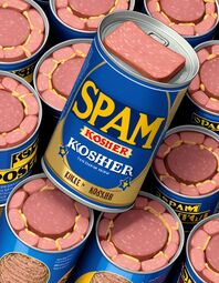 thumbnail of kosher spam.jpg