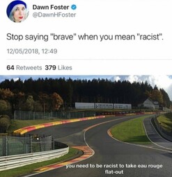 thumbnail of brave racist.JPG