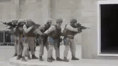 thumbnail of special_forces.gif