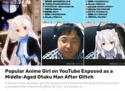 thumbnail of fake anime girl.jpg