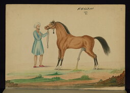 thumbnail of 1743125461313841.jpg