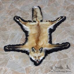 thumbnail of red-fox-rug-taxidermy-mount-a1-_12342-for-sale-_-the-taxidermy-store.jpg