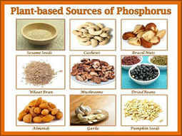thumbnail of foods-high-in-phosphorus.jpg