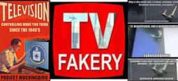 thumbnail of tvfakerypanel.png